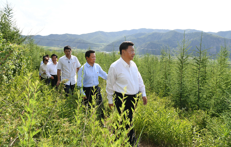 7月15日至16日，中共中央總書記、國家主席、中央軍委主席習(xí)近平在內(nèi)蒙古考察并指導(dǎo)開展“不忘初心、牢記使命”主題教育。這是15日下午，習(xí)近平在赤峰市喀喇沁旗馬鞍山林場林區(qū)，沿著崎嶇的護(hù)林小道察看林木長勢。